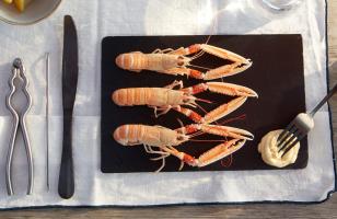 photo-crevettes-mayonnaise-le-celtique